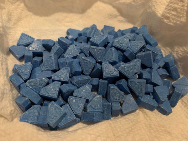 Molly for sale