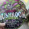 Magic Mushroom Gummy